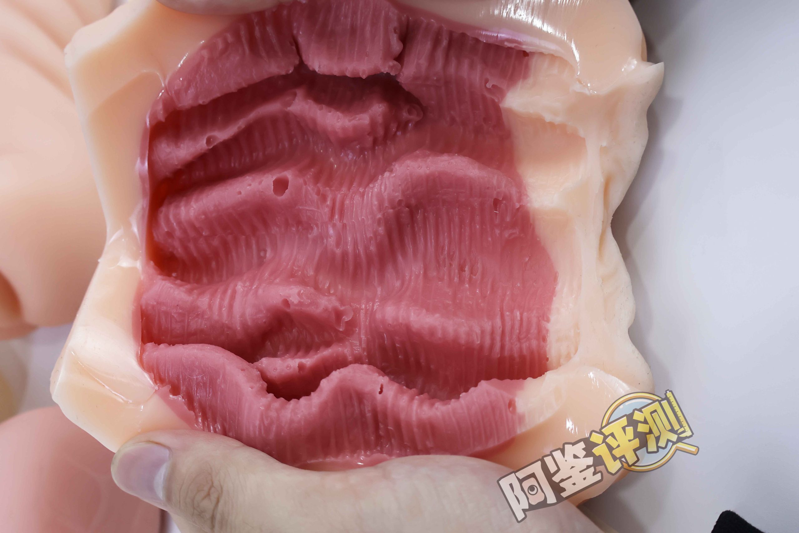 汤马托易士——“骑乘前辈”评测!硬感高刺激“日系大刀肉”!高难度的榨汁感!