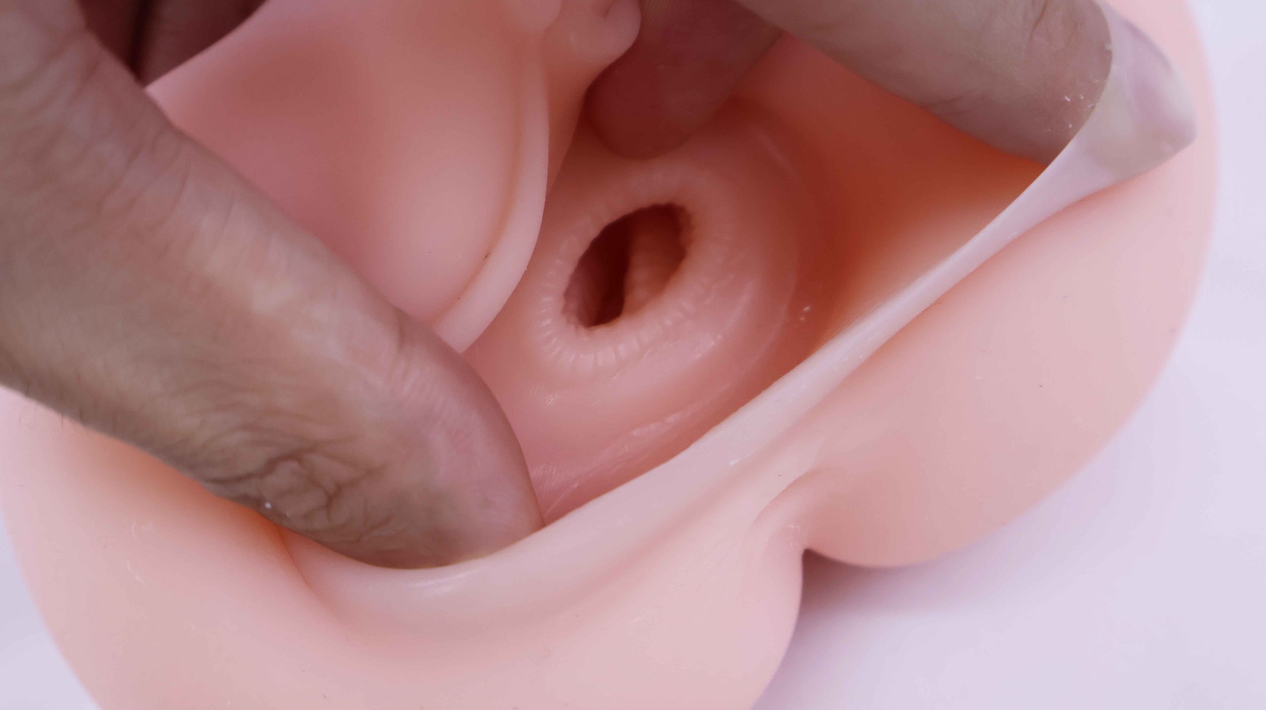 GOSE—“天星酱”评测!首个国产品牌软胶旋风形慢玩!阿鉴参与设计的新式玩法!