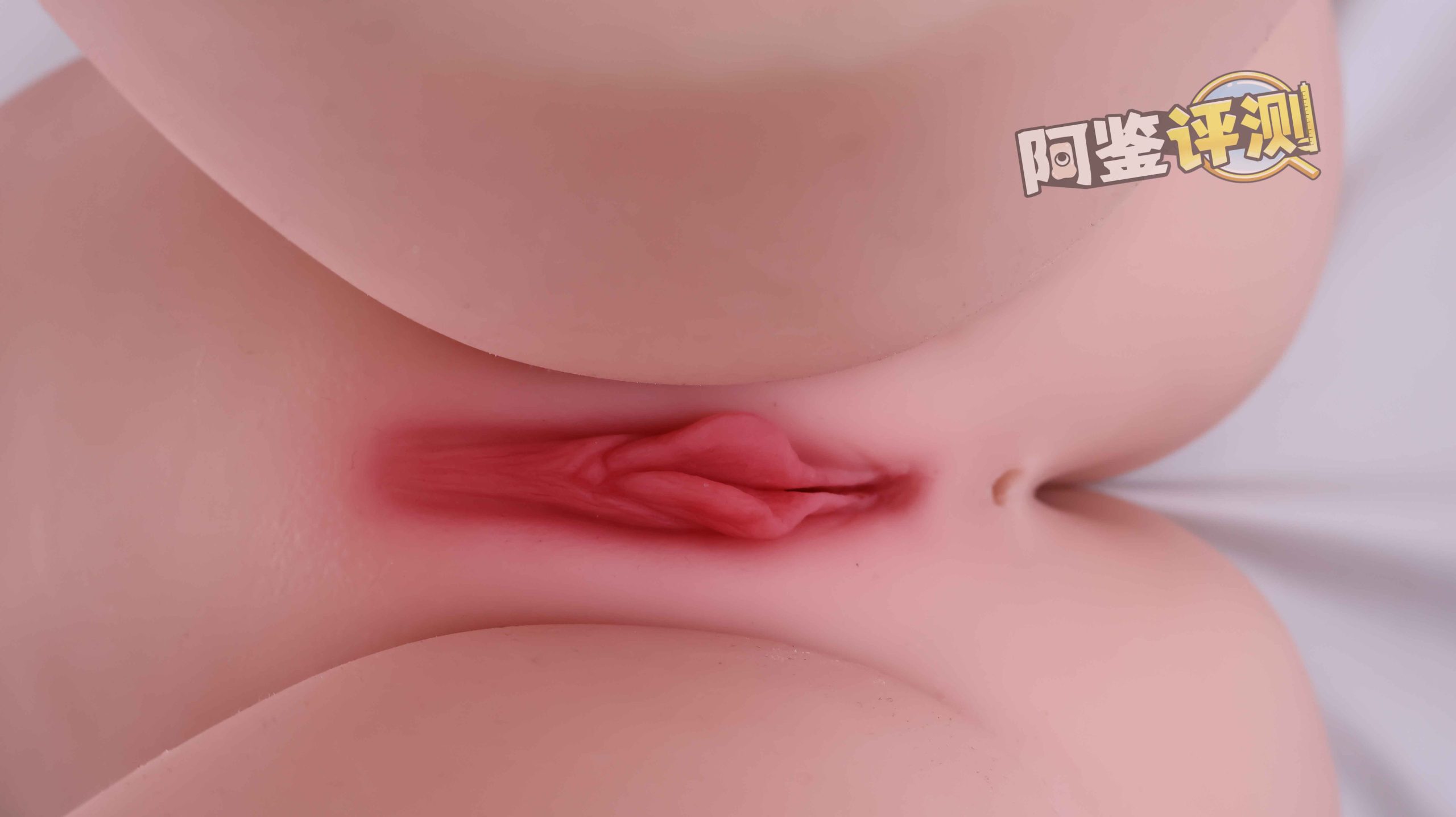 GXP——“夏威夷之旅”评测!最夸张的20kg“健身道具”,两处软胶的(超级贵)娃娃级玩具!