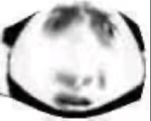 RIDE JAPAN——“Panky Mesh”!狂野,震撼亚洲!完全符合人设的危险风格