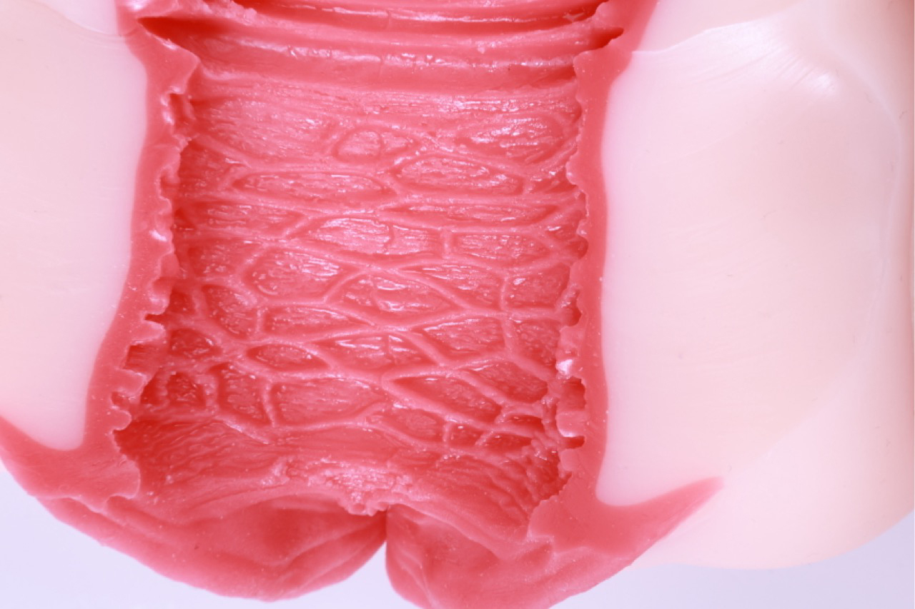 GOSE——“圣洁之宫”评测!猎奇造型的子宫杯与新设计的排气结构,是不是真的能吸?