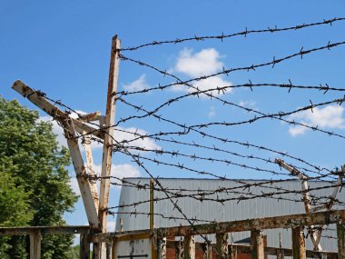 RIDE JAPAN——“Panky Mesh”!狂野,震撼亚洲!完全符合人设的危险风格