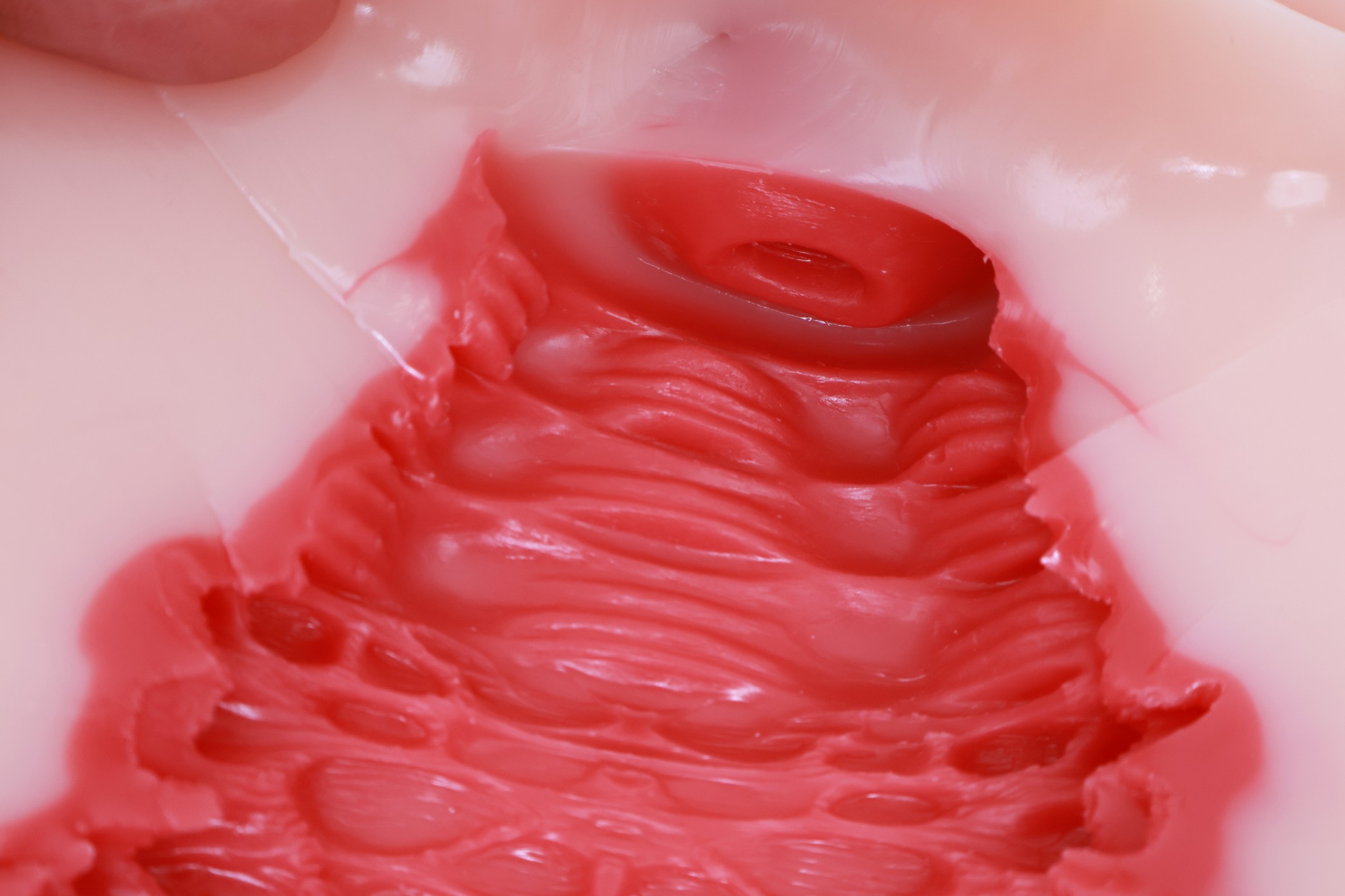 Lovefactor——“禁忌修女2代”评测!朴实无华的“黏膜感+大块”的排气子宫杯,平平无奇还是更具实用性?