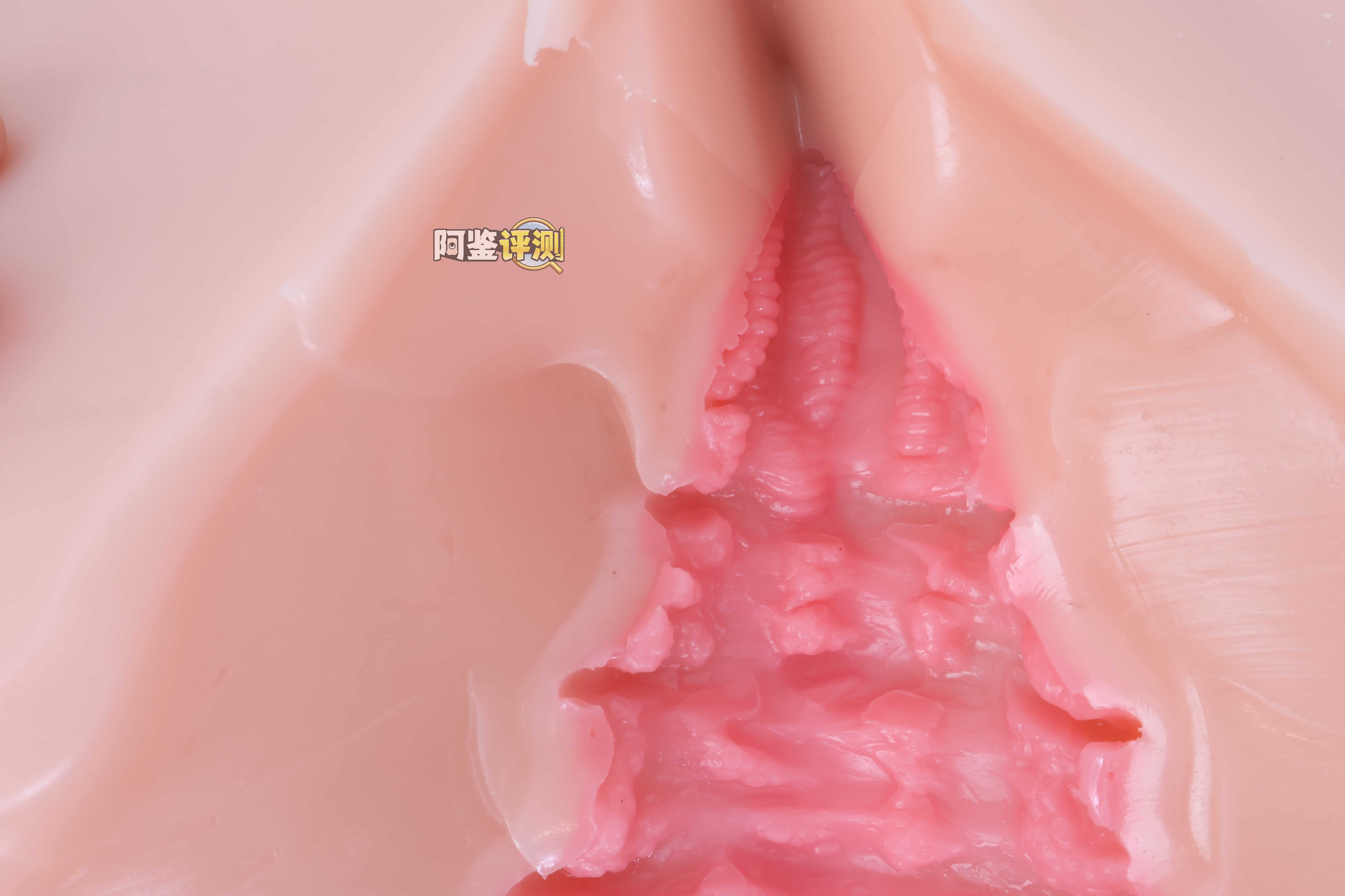 COC——”元气教练”评测!可可狼姬的肉色加大版,但脂软部分感觉做得稍微有些保守